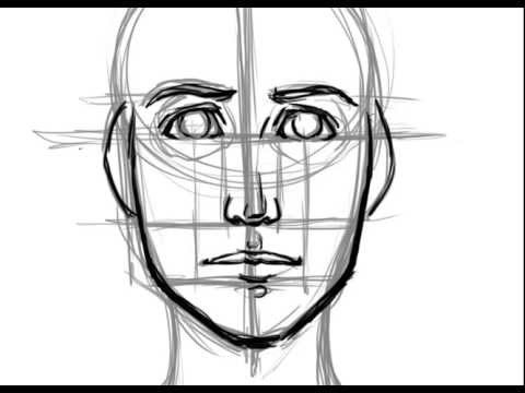 How to Draw a Face- Basic Proportions