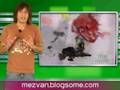 Telurica TV 235 - El Puma y el Pintor Ciego