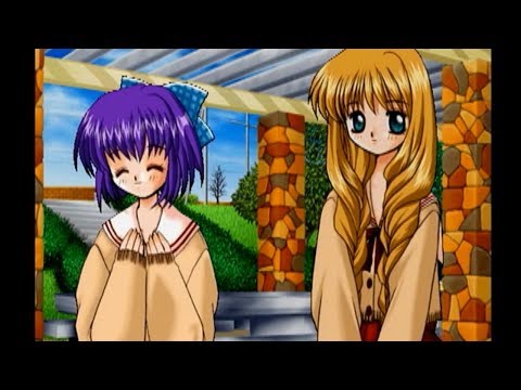 動画