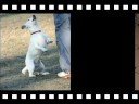 bahya photos