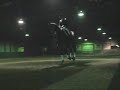 Dressage Demonstation - Denielle & George