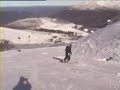 caidas-golpes-risa-funny-animals-bloopers-5.html