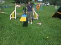 Training the seesaw