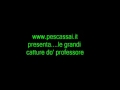 PESCATORI, pagelli,delfini, stelle, a Napoli