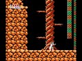 system: nes year of release:1989