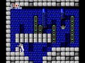 system: nes year of release:1989