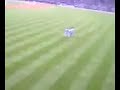 Tigers Game Sports Etiquette Tigers Game Sports Etiquette