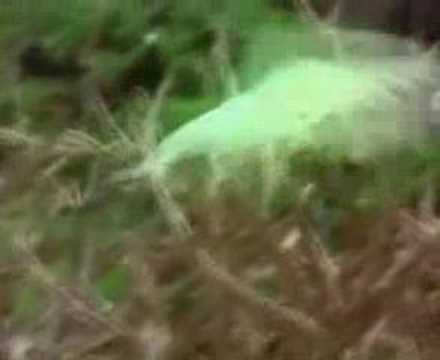 peygamber efendimiz gelse ne yapardınız???