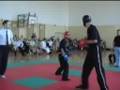 2008 Puchaczów Open