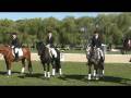 videos de Mistrzostwa Polski Młodych Koni w Ujeżdżeniu - Ceremonia Dekoracji, Książ, 2008.09.26-28
