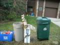 Recycling/Trash set out on 12/29/08