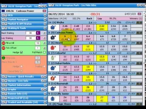 Horse racing in running trading strategy