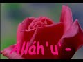 ???Alláh\ ???Alláh\