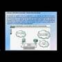 Mensajes de control y error de TCP/IP (2)