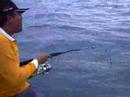 mancing 3