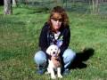 videos de Puppy Training Playing Fetch