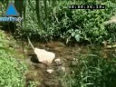 Le Wadi Kelt: un lieu où la nature et l\ Le Wadi Kelt: un lieu où la nature et l\