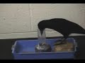 See Video