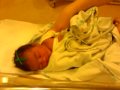 baby,love,young