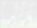 C.ronaldo vs Quaresma