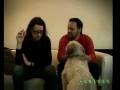 videos de Unibet19-11.flv