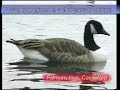 the-lords-my-shepherd.html