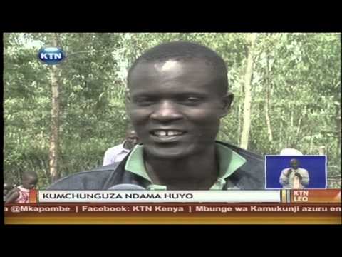 Ndama mwenye vichwa viwili azaliwa Taita Ndama mwenye vichwa viwili azaliwa Taita