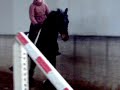 Nonore et son nouveau cheval Nonore et son nouveau cheval