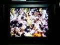 Capitanes Arecibo Campeones 2008