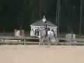 Horsebook Movie: Swan Lake\ Horsebook Movie: Swan Lake\