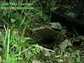 BULB BOPPER® HGTV Instructional Video BULB BOPPER® HGTV Instructional Video