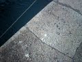 contaminando el mar