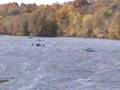 Columbia University Men's Crew Zig Zags at Princeton Chase