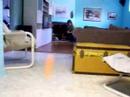 essaie de notr emachine de science on tourne! projet patate chaude!