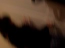 est�bamos en casa de maca hablando, y derrepente se empieza a abrir la puertaa, y yo:
-macaaaaa! que se abre la puerta
la maca:
-trae la c�mara y grabalo para que luego nos crean ajjaja

alee, ah� lo dejo (;
