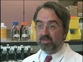 Stem Cell Therapy for Peripheral Artery Disease