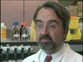 Stem Cell Therapy for Peripheral Artery Disease