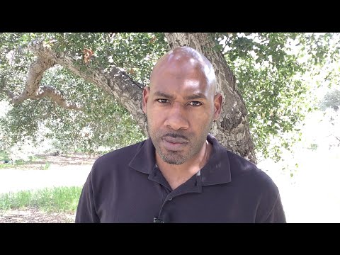 how to prove wife is abusive