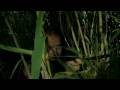  - MovieZen Video
