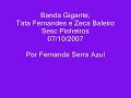 banda gigante tata fernandes e zeca baleiro