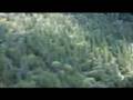 Survivorman Season 3 Preview