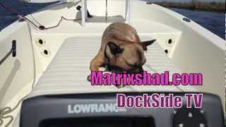 DockSide TV  