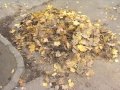 Nagy közös takarítás a Zichy Mihály utcában Nagy közös takarítás a Zichy Mihály utcában