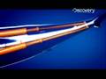 Shark Week- Mako Shark's Speed