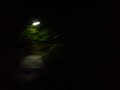 Secret Path to Log Cabin