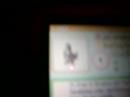Staravia Glitch Staravia Glitch