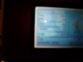 Staravia Glitch