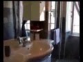 casa_delle_rose_1.3gp
