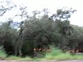 cetinje-1993.html