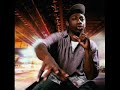 hot track by pete rock featuring kool g rap & large professor. off the hip hop classic 'soul survivor'